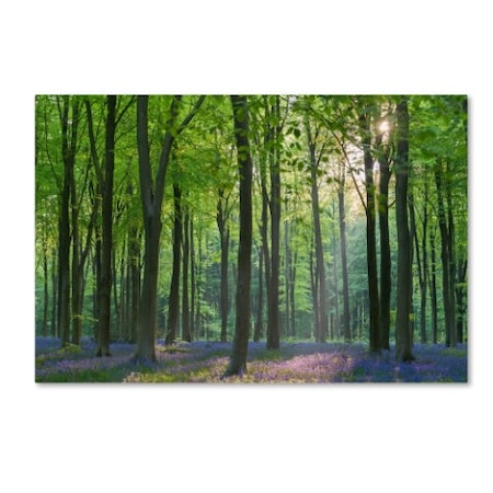 Adam Burton 'Spring Colours' Canvas Art,16x24